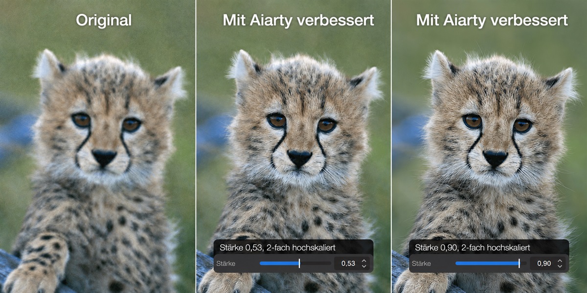Gepardenjunges im Vergleich. Links das Original, Mitte und rechts jeweils 2-fach vergrößert – mit Stärke 0,53 (Mitte) und 0,90 (rechts). Bild: Aiarty