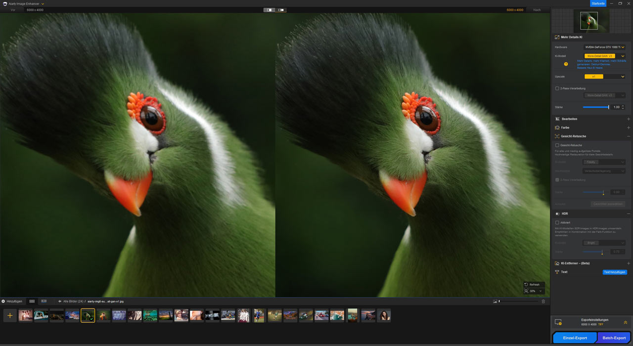 Verbesserung bei 1× mit More-Detail GAN v3, Stärke 1,00. Die Pixelmaße bleiben unverändert bei 6000 × 4000 Pixeln. Bild: Aiarty.
