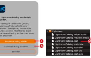 Lightroom Classic: Grundlagen (Teil 2)