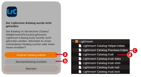 Lightroom Classic: Grundlagen (Teil 2)