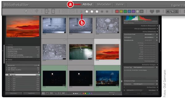 Bildsichtung im Bibliotheksmodul von Lightroom Classic (Teil 2)
