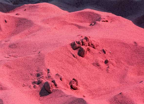 Kein Bild der Marsoberfläche, sondern der Zingster Sandstrand im rosaroten Licht von Marc Mosers Riesenbrille