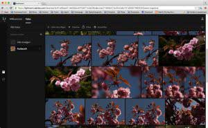 Lightroom_Browser: Das Creativ Cloud-Foto-Abo
