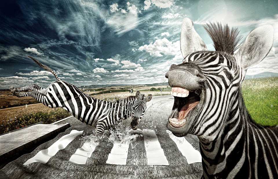 Zebra-crossings
