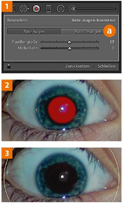 73_rote_augen: Lightroom-Tipp: Rote-Augen-Korrektur