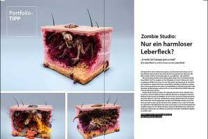 Portfolio-Tipp: Zombie-Studio