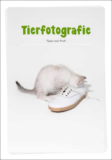 e-book_tierfotografie: Ratgeber Tierfotografie