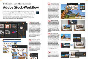 Adobe Stock-Workflow