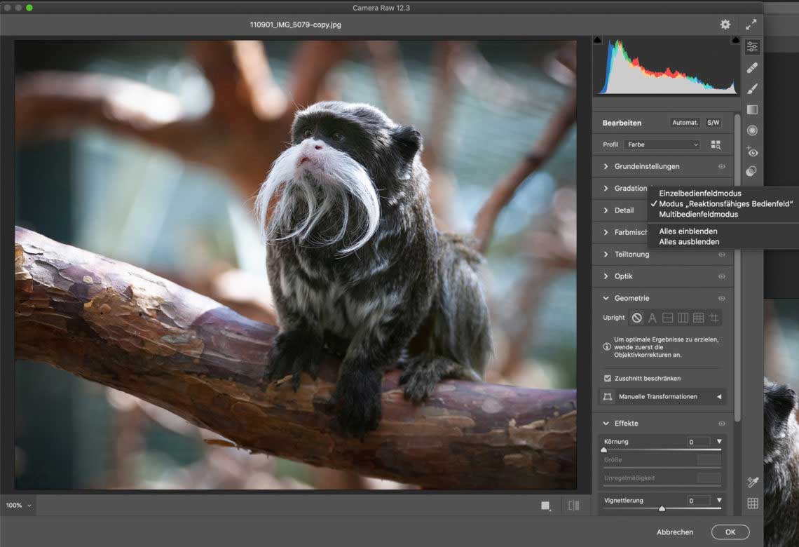 Adobe-Updates für Photoshop- und Lightroom: Drei Tipps zu Camera Raw 12.3