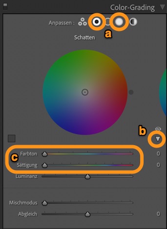 Camera Raw und Lightroom: Teiltonung versus Color-Grading