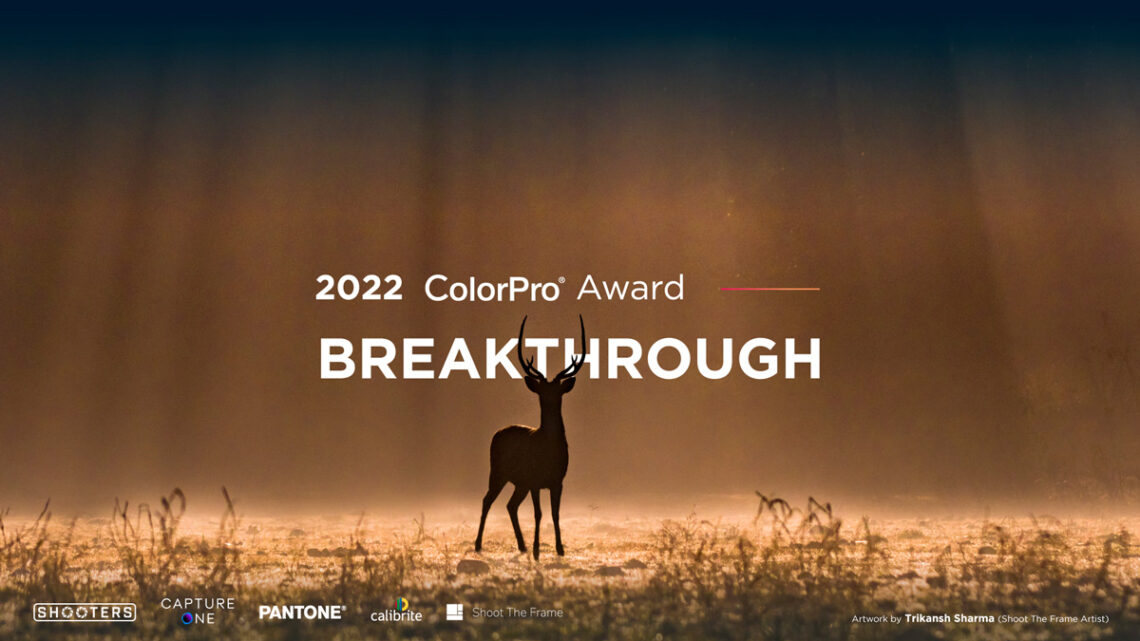 Viewsonic ColorPro Award 2022 – jetzt auch für Digitalkünstler