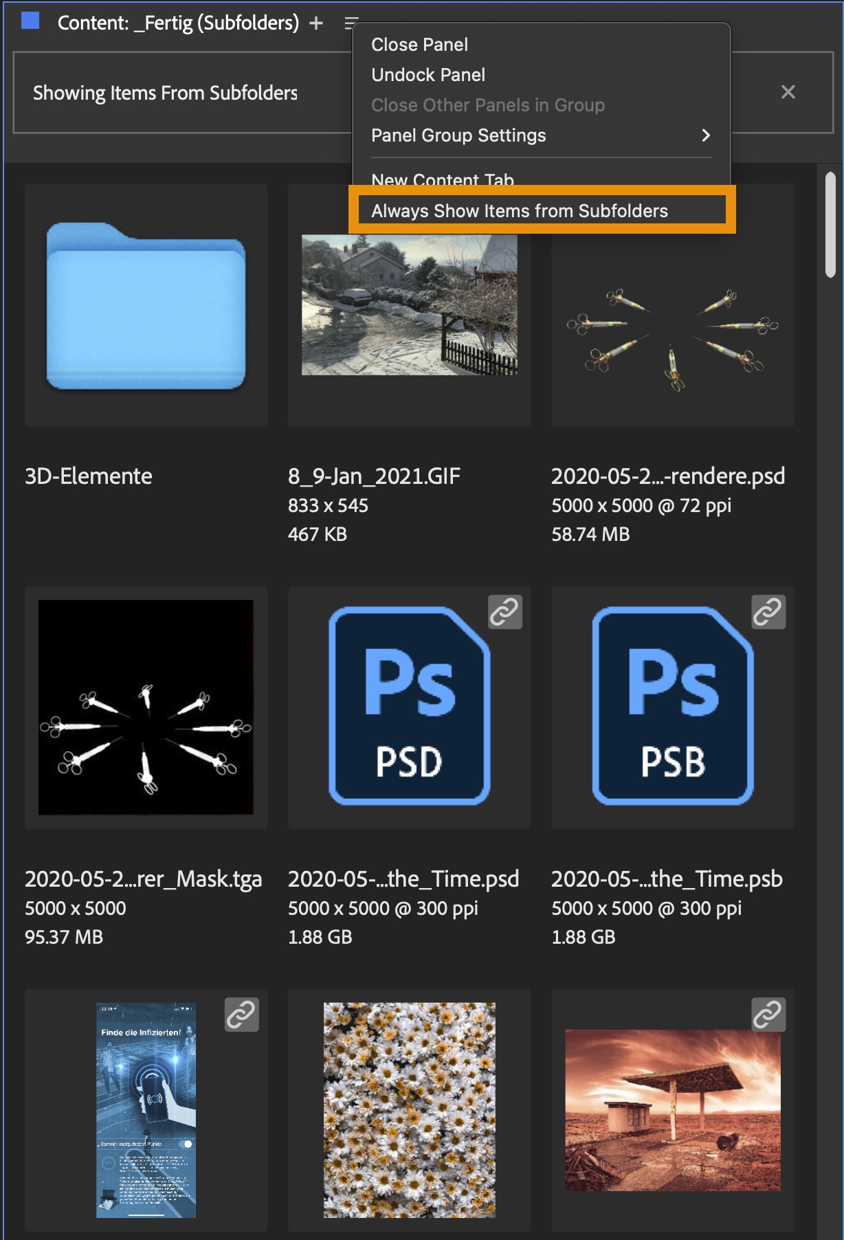 Adobe Bridge Beta-Version 13 mit vielen Verbesserungen
