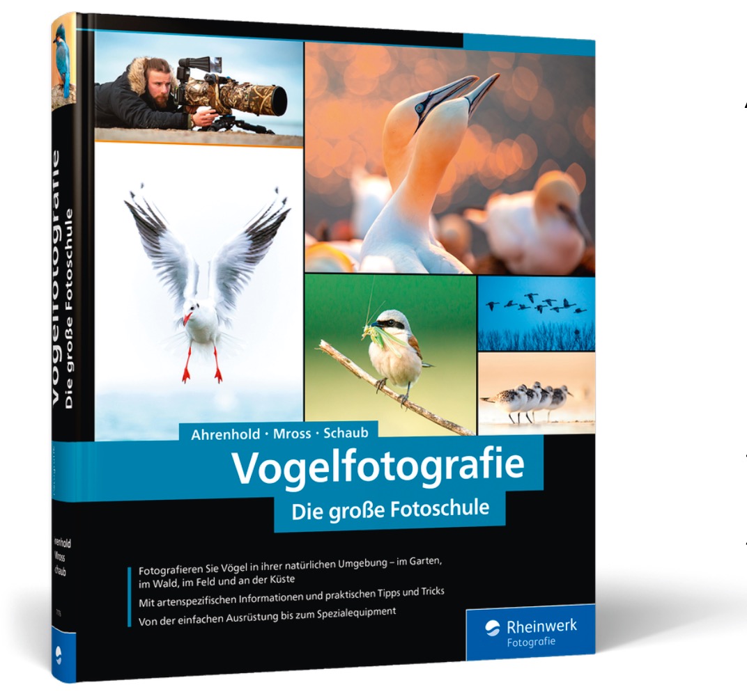 Alexander Ahrenhold, Eike Mross,
Hans-Peter Schaub:
Vogelfotografie – Die große Fotoschule
Rheinwerk Verlag, 2022
301 Seiten, gebunden
39,90 Euro
www.rheinwerk-verlag.de/4941 