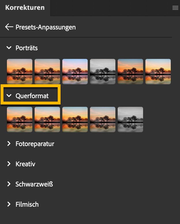 Mit „Querformat“ meinen die „Übersetzungsexperten“ von Adobe übrigens „Landschaft“ – mit der Ausrichtung des Bildes haben die Presets jedenfalls nichts zu tun. Photoshop 24.5 und 24.6: Die generative KI ist da!